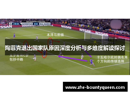 陶菲克退出国家队原因深度分析与多维度解读探讨