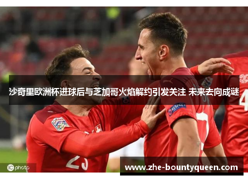 沙奇里欧洲杯进球后与芝加哥火焰解约引发关注 未来去向成谜 沙奇里欧洲杯进球后与芝加哥火焰解约引发关注 未来去向成谜